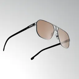 Carrera SunGlasses