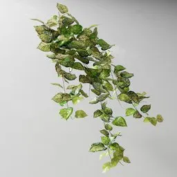 "Artificial tendril Potosovec mottled v2: A highly detailed 3D model for nature indoor scenes in Blender 3D. The plant features limbs made from vines and ivy, elder and birch textures for a realistic overgrown effect, with added ambient occlusion and leaves falling for extra depth. Perfect for adding nature elements to your 3D scenes."