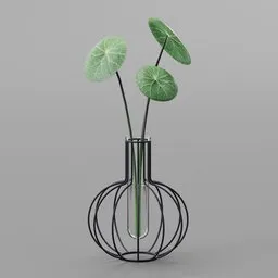 Indoor Greenery Money Plant with Round Green Leaves in Tube Rod Vase