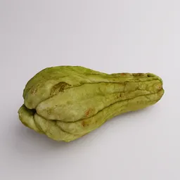 Chayote scan