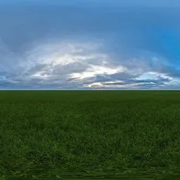 Green grass cloudy blue sky pure sky