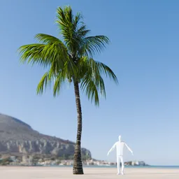 Coconut Tree Rigged and Animated