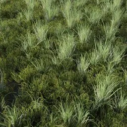Highly detailed Blender 3D model of green grass clumps optimized for realistic gaming environments.