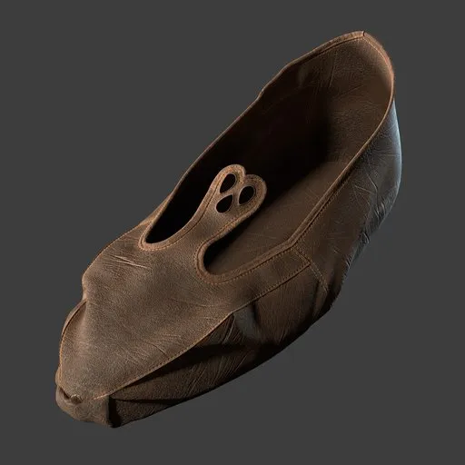 Shoe