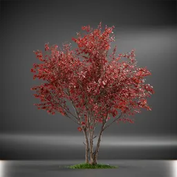 Tree Ruby Slippers Animated