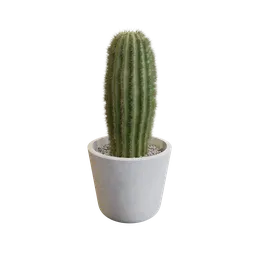 Fully Procedural Cactus