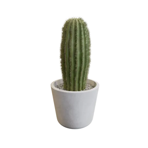Fully Procedural Cactus