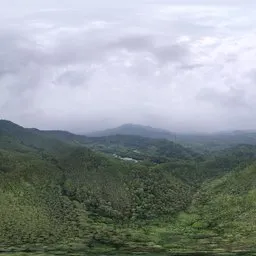 Highsky Mountain green forest