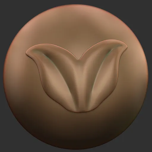 Tulip Bloom