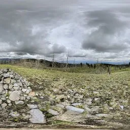 Cloudlysky Green Grass
