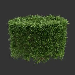 Cylinder Bush Plant