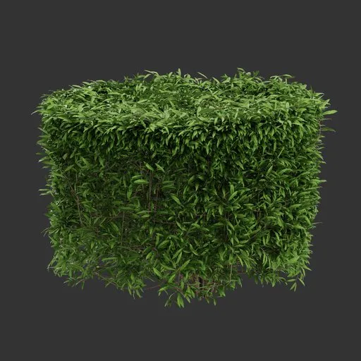 Cylinder Bush Plant
