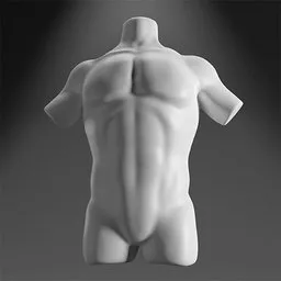 Detailed male torso 3D model with muscles for Blender render, digital sculpting reference.