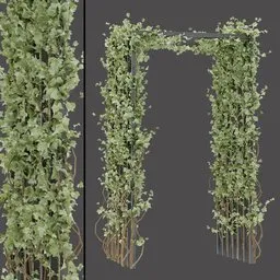 Green Ivy Garden Arch