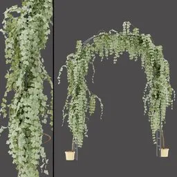 Ivy Wedding Arch