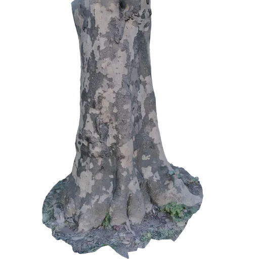 Tree Bark