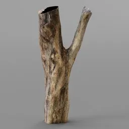 Detailed 3D model of a bifurcated tree trunk with realistic texture for Blender rendering.