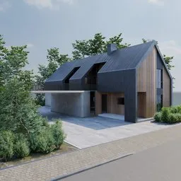 Modern Wooden Villa Scene