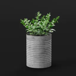 Small Green Plant in Metal Pot