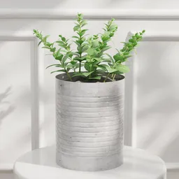 Small Green Plant in Metal Pot