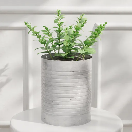 Small Green Plant in Metal Pot