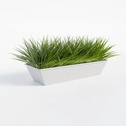 Lifelike 3D-rendered green grass in a white rectangular vase for digital table decor, ideal for Blender 3D projects.