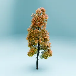 Tree variation in autumn 02