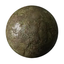 Wet ground with leafs