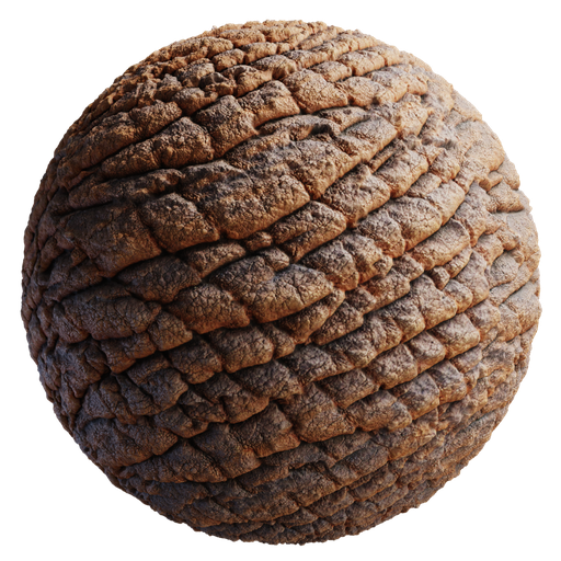 Skin Animal Rough
