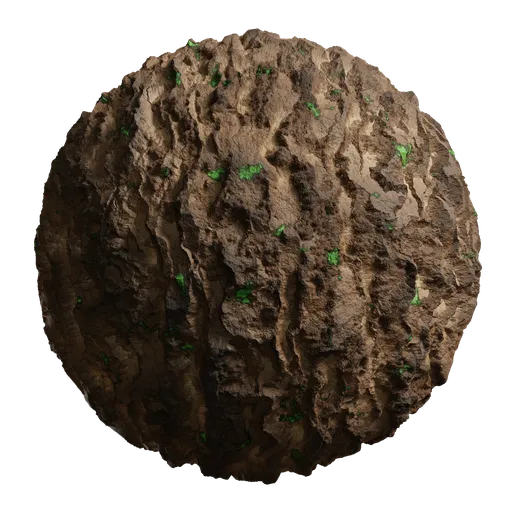 Tree Bark