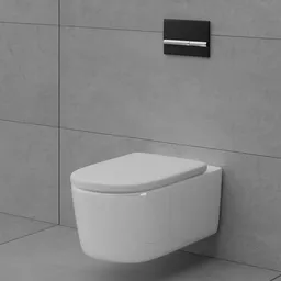Toilet (Wall Hung Toilet)