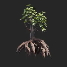 Mangrove Plant + Geometry Nodes + Animation