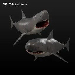 Bull Shark Animated
