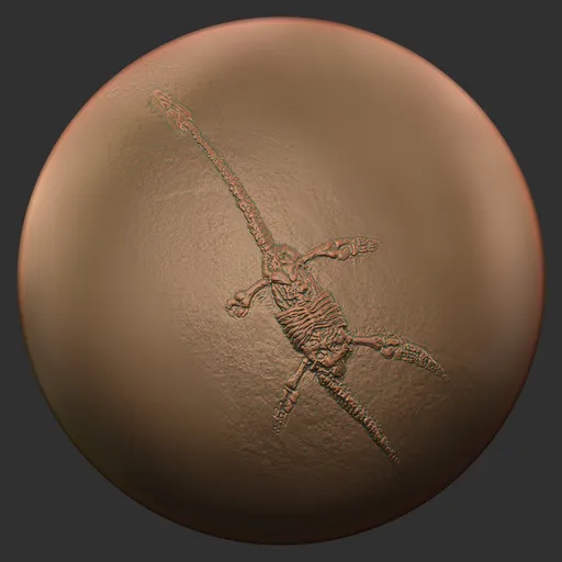 ER_Fossil Brush-dinosaur