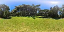 Lush tropical HDR panorama for 3D scene lighting, featuring vibrant greenery and clear blue skies.