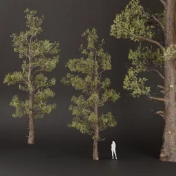 SJ-Twilight Pine Keeper