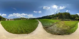 Green fields during the day