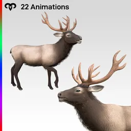 Deer Animated