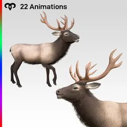 Deer Animated