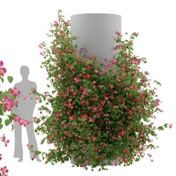 Ivy Flower Column - Chinese trumpet vine