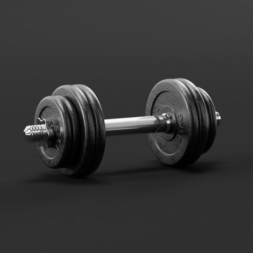 Adjustable dumbbell | FREE Gyms models | BlenderKit