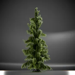 Tree Weeping Nootka Animated