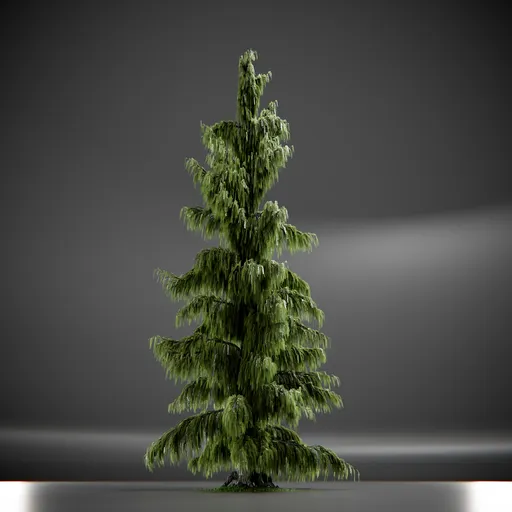 Tree Weeping Nootka Animated