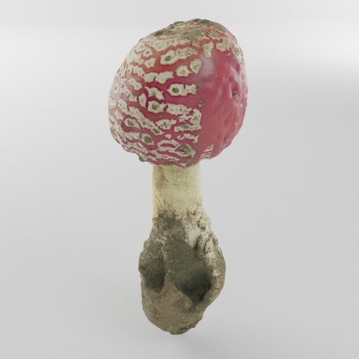 Thumbnail: Toadstool