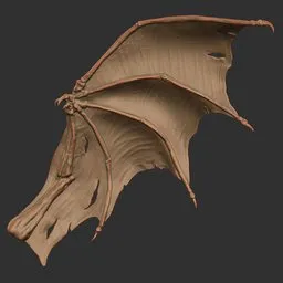 Battle-Torn Dragon Wing