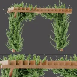 Wooden Pergola Vines