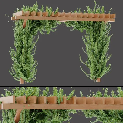 Wooden Pergola Vines