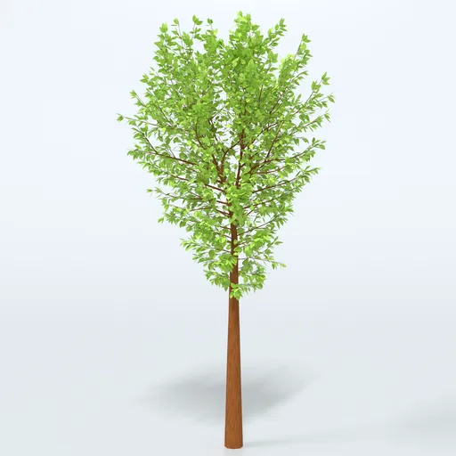 Cartoon Tree
