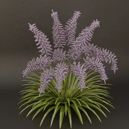 SJ-Enchanted Glow Shrub