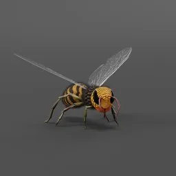 Wasp